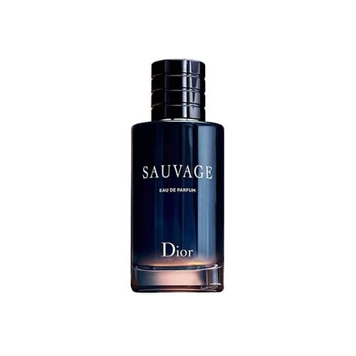 Sauvage Christian Dior perfume for men Eau de Parfum 100 ml