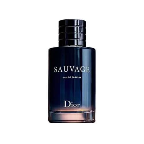 Sauvage Christian Dior perfume for men - Eau de Parfum - 60 ml